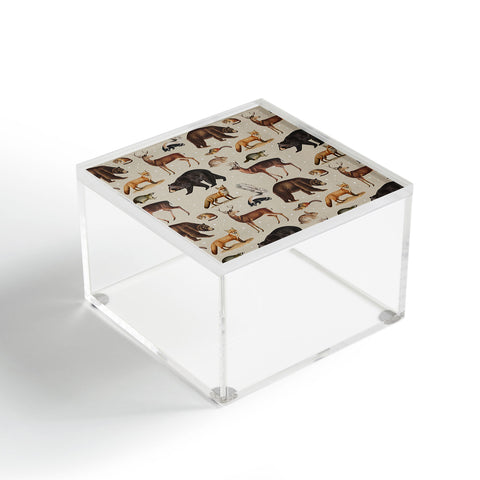Emanuela Carratoni Wild Forest Animals Acrylic Box