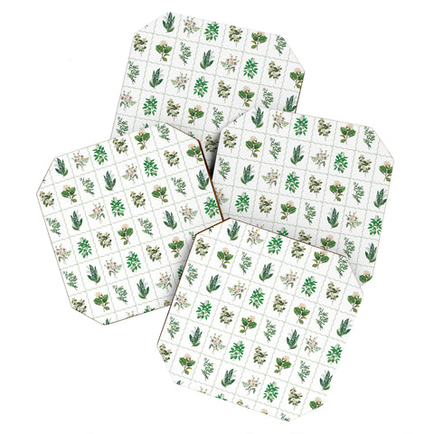 Evanjelina & Co Botanical Collection Pattern 1 Coaster Set