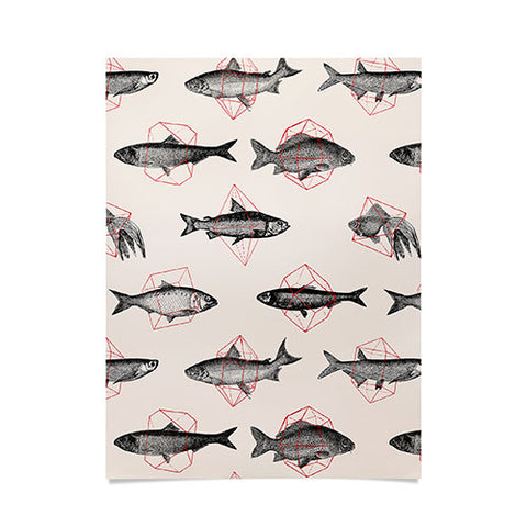 Florent Bodart Fishes In Geometrics Poster