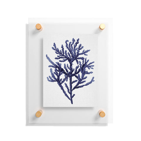 Gal Design Seaweed 8 Floating Acrylic Print