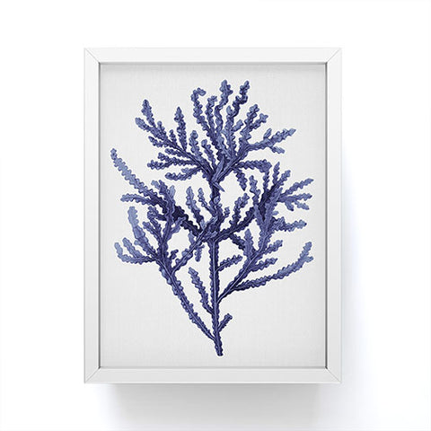 Gal Design Seaweed 8 Framed Mini Art Print