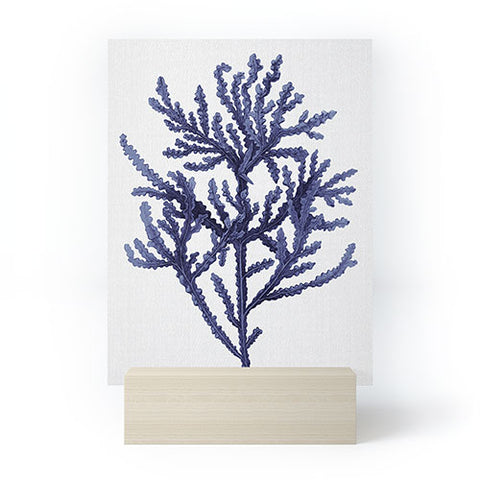 Gal Design Seaweed 8 Mini Art Print