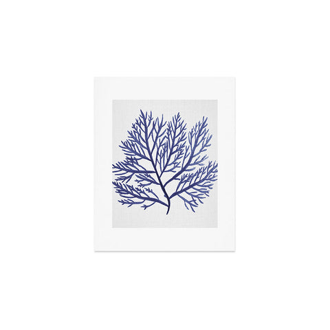 Gal Design Seaweed 9 Art Print