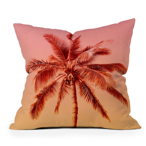 Gale Switzer Palm beach I Outdoor Throw Pillow