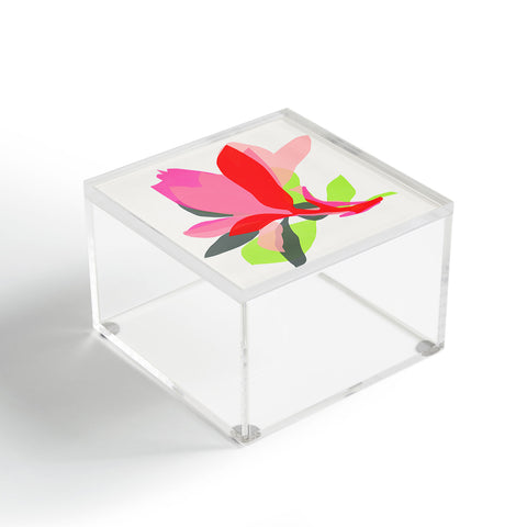 Garima Dhawan magnolia 3 Acrylic Box