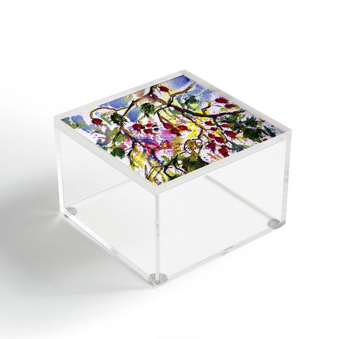 Ginette Fine Art Rose Hips Watercolor Ginette Acrylic Box