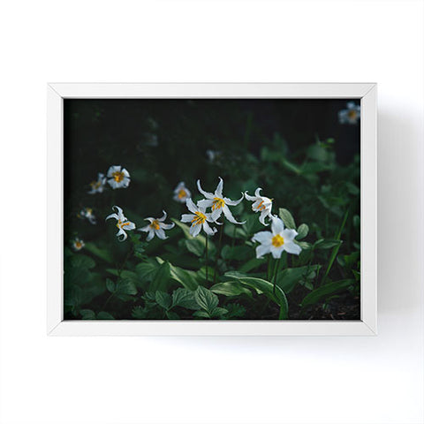 Hannah Kemp Avalanche Lilies Framed Mini Art Print