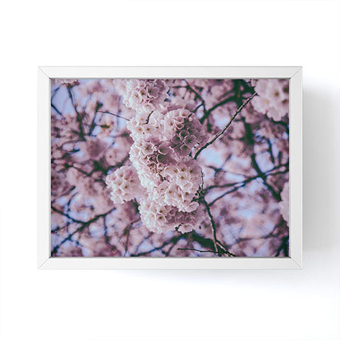 Hannah Kemp Cherry Blossoms Photo Framed Mini Art Print