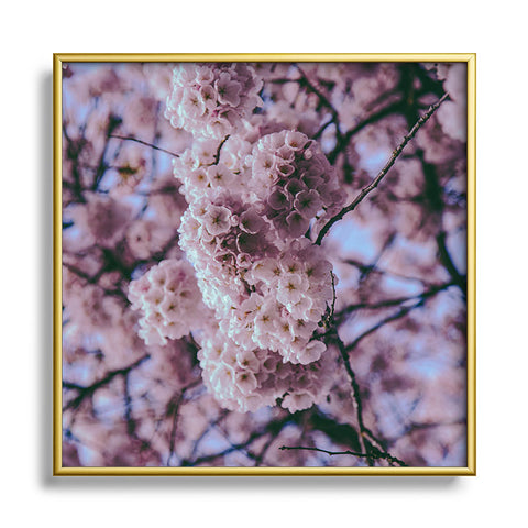 Hannah Kemp Cherry Blossoms Photo Square Metal Framed Art Print