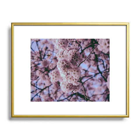 Hannah Kemp Cherry Blossoms Photo Metal Framed Art Print