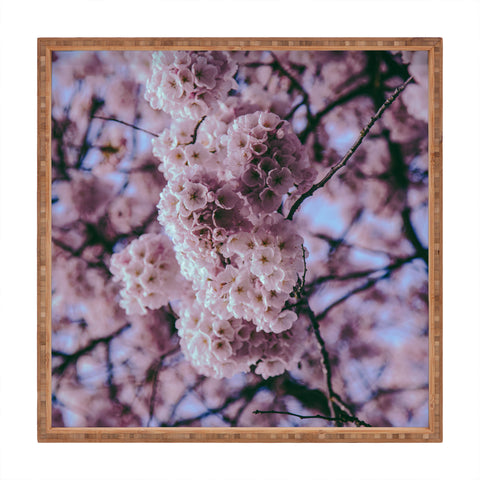 Hannah Kemp Cherry Blossoms Photo Square Tray