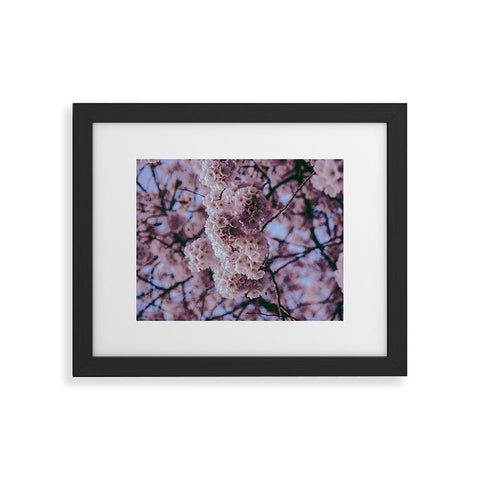 Hannah Kemp Cherry Blossoms Photo Framed Art Print