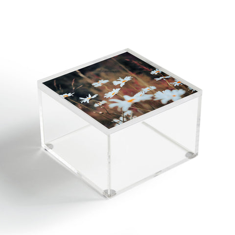 Hannah Kemp Field of Daisies Acrylic Box