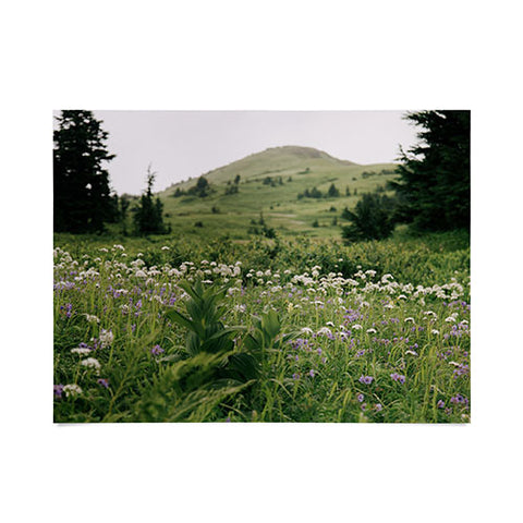 Hannah Kemp Green Wildflower Landscape Poster