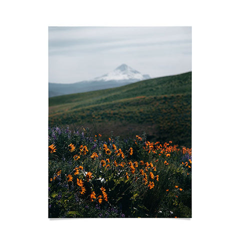 Hannah Kemp Mount Hood Blooms II Poster