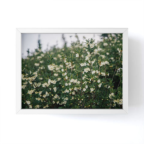 Hannah Kemp Rhododendron Albiflorum Framed Mini Art Print