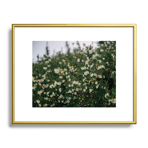 Hannah Kemp Rhododendron Albiflorum Metal Framed Art Print