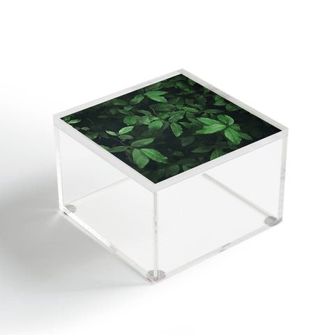 Hannah Kemp Some Greenery Acrylic Box