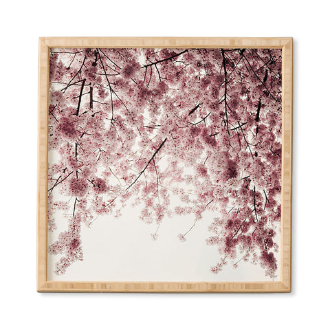 Hannah Kemp Spring Cherry Blossoms Framed Wall Art