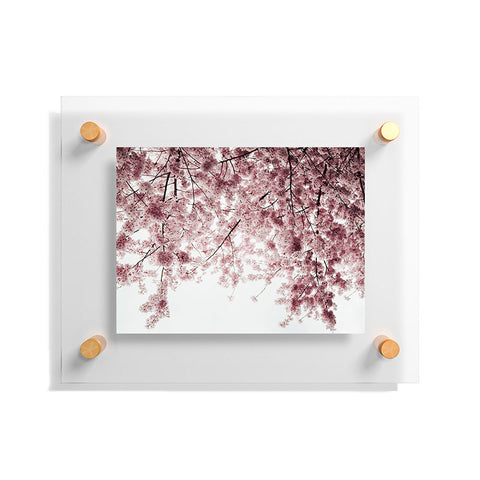 Hannah Kemp Spring Cherry Blossoms Floating Acrylic Print