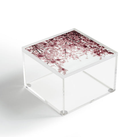 Hannah Kemp Spring Cherry Blossoms Acrylic Box