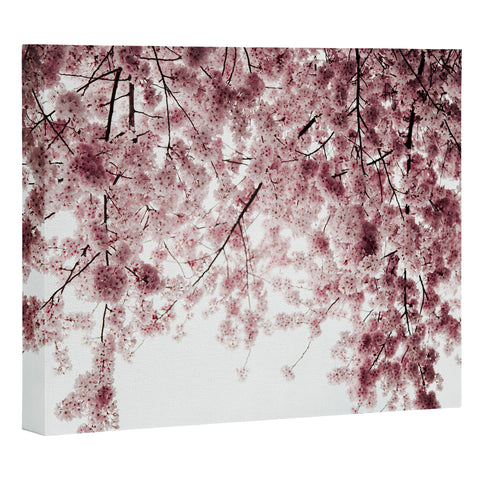 Hannah Kemp Spring Cherry Blossoms Art Canvas