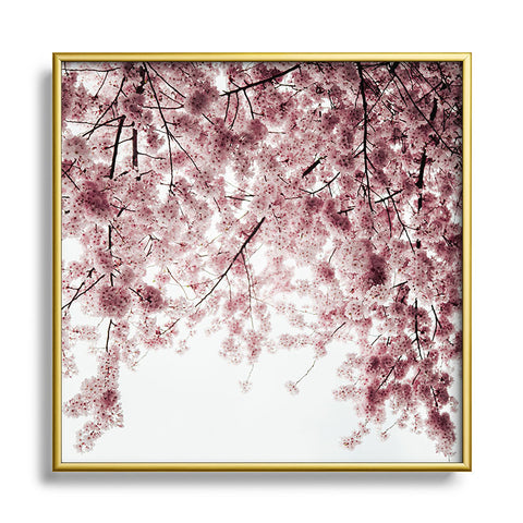 Hannah Kemp Spring Cherry Blossoms Square Metal Framed Art Print
