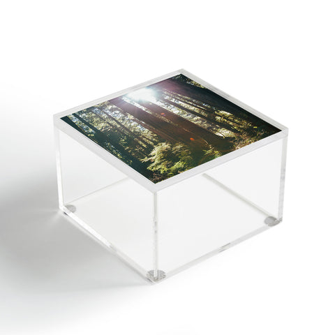 Hannah Kemp Sunny Forest Acrylic Box