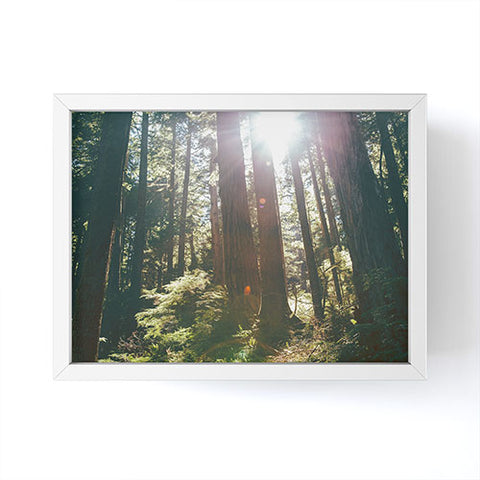 Hannah Kemp Sunny Forest Framed Mini Art Print