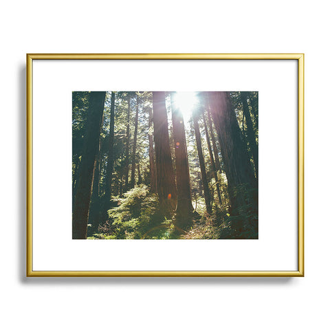 Hannah Kemp Sunny Forest Metal Framed Art Print