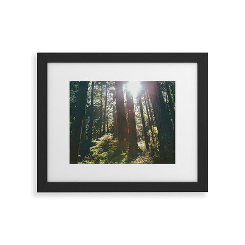Hannah Kemp Sunny Forest Framed Art Print