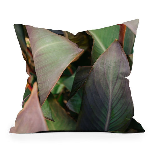 Hello Twiggs Abstract Leaves Outdoor Throw Pillow