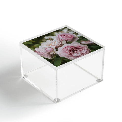 Hello Twiggs Gentle Rose Acrylic Box
