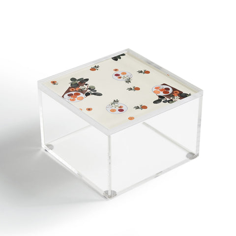 Hello Twiggs Peaches and Flowers Acrylic Box