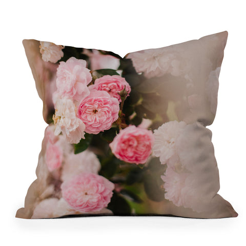 Hello Twiggs Soft Roses Outdoor Throw Pillow