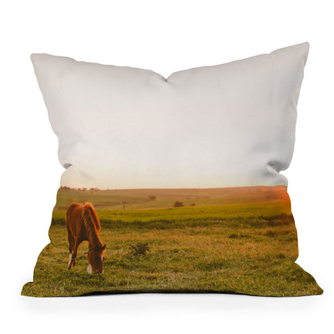 Hello Twiggs Sunset Delight Outdoor Throw Pillow
