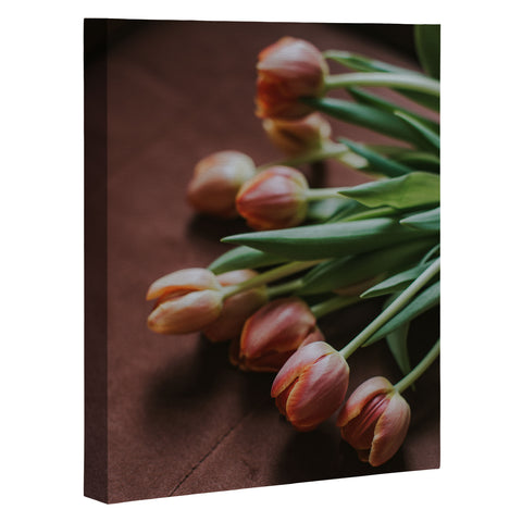 Hello Twiggs Terracotta Tulips Art Canvas
