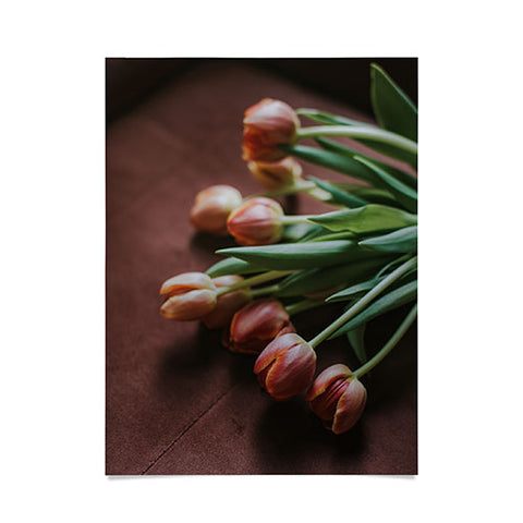 Hello Twiggs Terracotta Tulips Poster