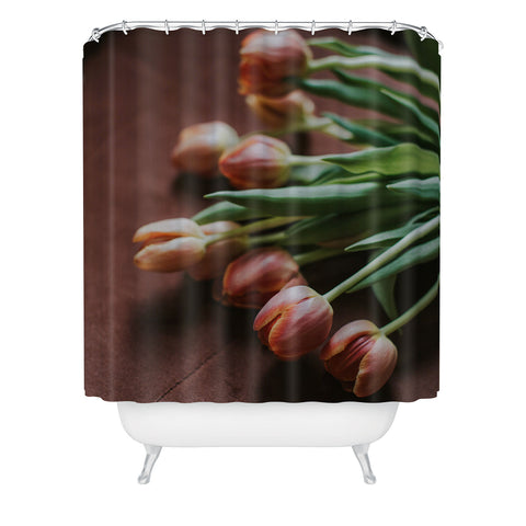 Hello Twiggs Terracotta Tulips Shower Curtain