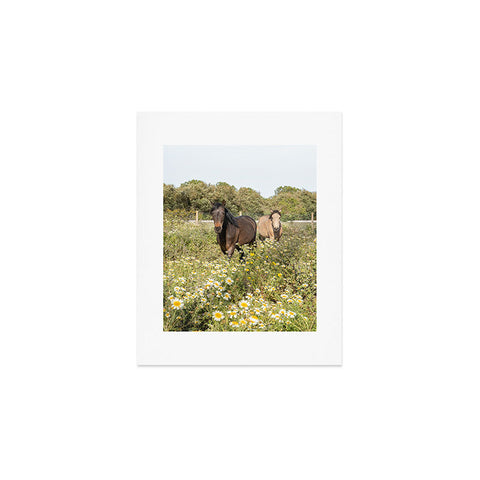 Henrike Schenk - Travel Photography Horses in a Field of Wildflowers Art Print