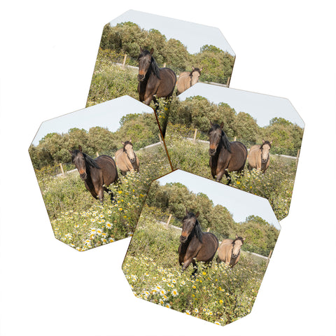 Henrike Schenk - Travel Photography Horses in a Field of Wildflowers Coaster Set