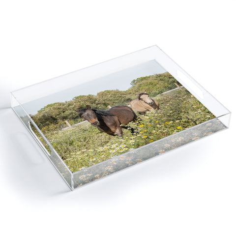 Henrike Schenk - Travel Photography Horses in a Field of Wildflowers Acrylic Tray