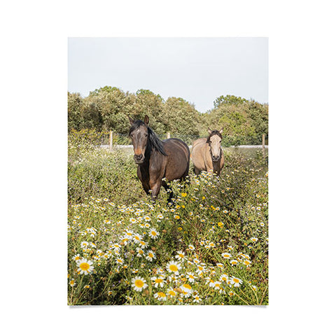 Henrike Schenk - Travel Photography Horses in a Field of Wildflowers Poster