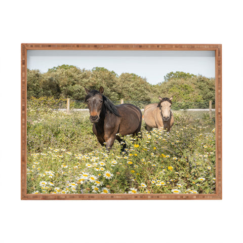 Henrike Schenk - Travel Photography Horses in a Field of Wildflowers Rectangular Tray