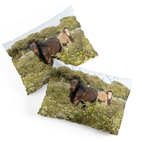 Henrike Schenk - Travel Photography Horses in a Field of Wildflowers Pillow Shams