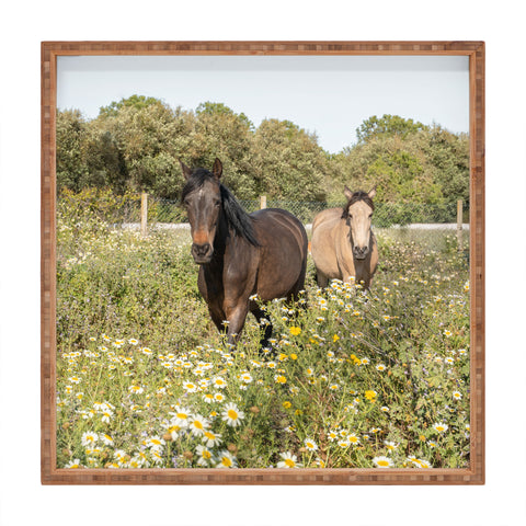 Henrike Schenk - Travel Photography Horses in a Field of Wildflowers Square Tray