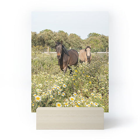 Henrike Schenk - Travel Photography Horses in a Field of Wildflowers Mini Art Print