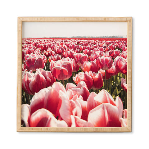 Henrike Schenk - Travel Photography Tulip Field In Holland Floral Framed Wall Art