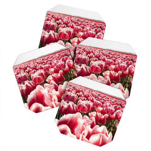 Henrike Schenk - Travel Photography Tulip Field In Holland Floral Coaster Set