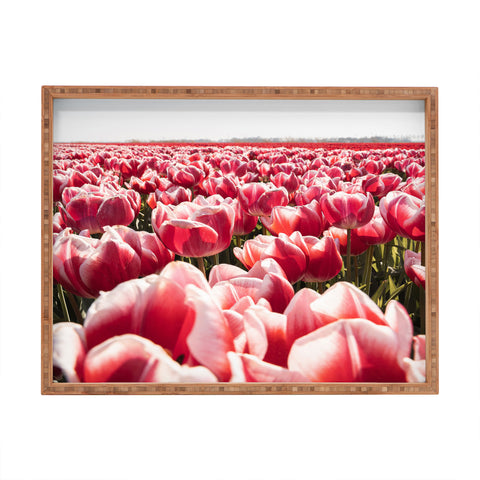 Henrike Schenk - Travel Photography Tulip Field In Holland Floral Rectangular Tray